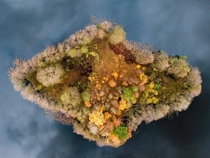 A striking overhead shot of a forested island in a lake in the Kashubia region of Pomerania in Poland - 