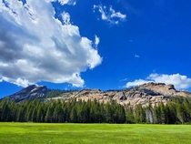 A super lush meadow in Sierra National Forest CA USA  x