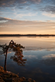 A Swedish Lake 