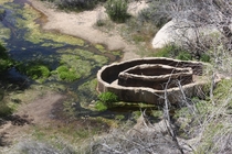 A th Centure drinking station for cattle in Joshua Tree National Park 