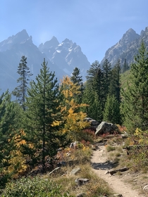 A trail at Lake Jenny in the Grand Tetons 