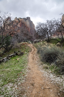 A trail in Zion National Park Utah US 