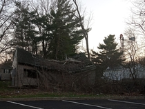 A tree crushed house across form a drive thru