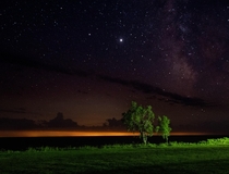 A tree under the Milky Way Lake Erie 