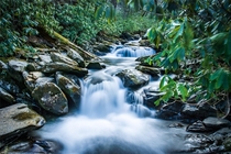 A tributary stream of the pigeon river in Great Smoky Mountains National Park 