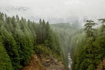 A typical rainy cloudy day in the forests of Washington 