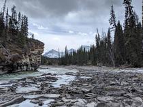 A unique view of the Canadian Rockies from a low Athabasca River  x