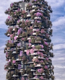 A vertical forest in Italy