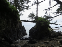 A very cool natural balancing act that been going on for at least  years Cape Scott BC 