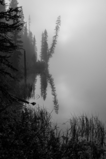 A very foggy Lake Louise Banff CA - 