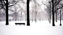 A very snowy Juniper Valley Park New York City  Photographed by Mark Garbowski