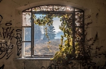 A view from an abandoned asylum in Italy