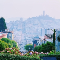 A view of San Francisco from Lombard Street