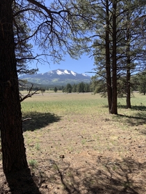 A view of the Kachina Peaks from the Kendrick Watchable Wildlife Trail in Flagstaff AZ 