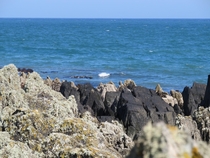 A view of the rocky coast at Clogherhead Ireland 