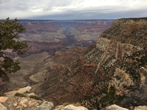A view so mesmerisingly deep it looked like a painted backdrop Near Bright Angel Lodge Grand Canyon Arizona 