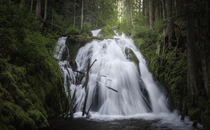 A waterfall in the forest on Mt Hood Oregon 