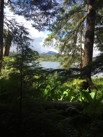A week ago a federal court blocked the sale of timber from the Tongass National Forest in Alaska As a toast heres a photo I took during my visit 