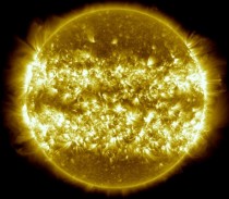 A Year of Our Sun in One Picture 