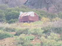 Abandon farm shedhouse - Lake George NSW