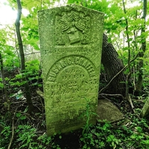Abandoned and forgotten graves Orangeville Ontario  Link in comments to more pictures