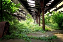 Abandoned and Overgrown Jersey City Trail Terminal