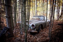 Abandoned Aston Martin D  years ago