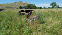 Abandoned Automobile - Nebraska 