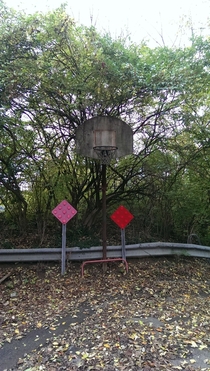 Abandoned basketball hoop from my youth 