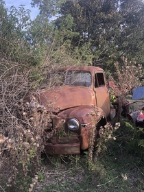 Abandoned Bedford Truck