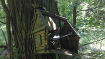 Abandoned Birdhouse in the Russian Forest