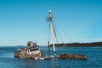 Abandoned boat in Willapa Bay Washington