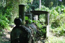 Abandoned British Owned Gold Mine Locomotive Darien Gap Panama  