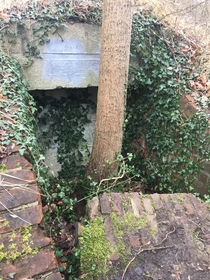 Abandoned bunker entrance in the Netherlands