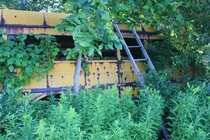 Abandoned Bus in Sackets Harbor NY 