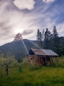 Abandoned cabin in Hope Valley CA  OC