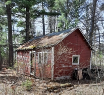 Abandoned cabin in Northern MN