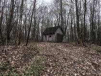 Abandoned cabin in rural Quebec
