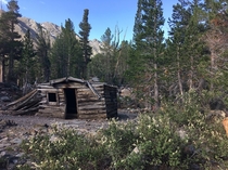 Abandoned cabin in the California wilderness 