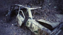 Abandoned car found in a forest near San Francisco 