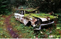 Abandoned car found in woods on Vancouver Island BC 