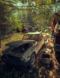 Abandoned car graveyard in somewhere in MA