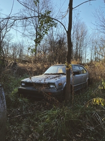 Abandoned car in a field