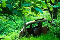 Abandoned car in a Scottish forest toffersonn