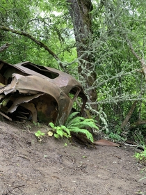 Abandoned car in Salem Or Minto Brown