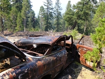Abandoned Car in the Willamette National Forest OR 