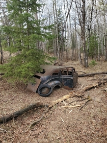Abandoned car in the woods