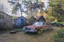 Abandoned car in the woods