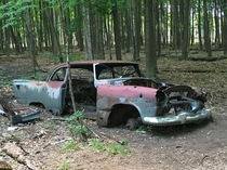 Abandoned car in the woods near my house 