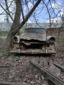 Abandoned car left to rot